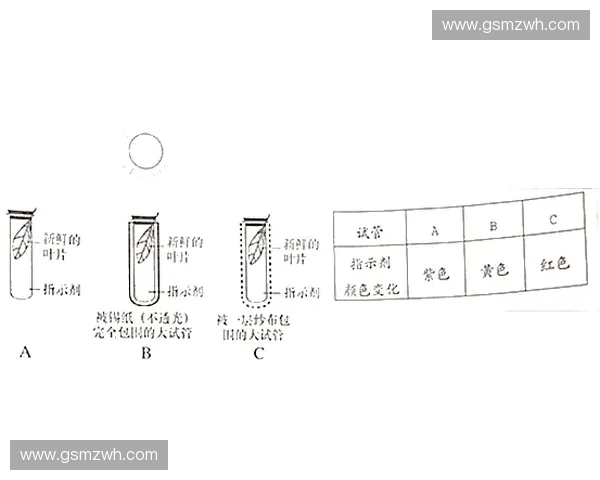 围绕柔韧测试杆功能原理与应用表现的综合探索性技术分析研究