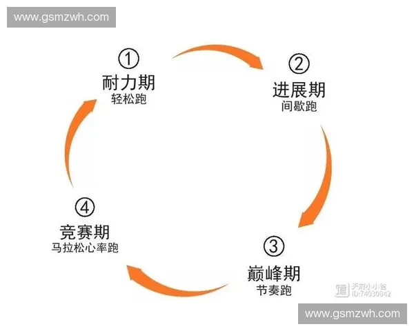 科学制定运动计划：以目标心率为核心提高健康效果